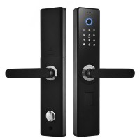 瓜子殼M6